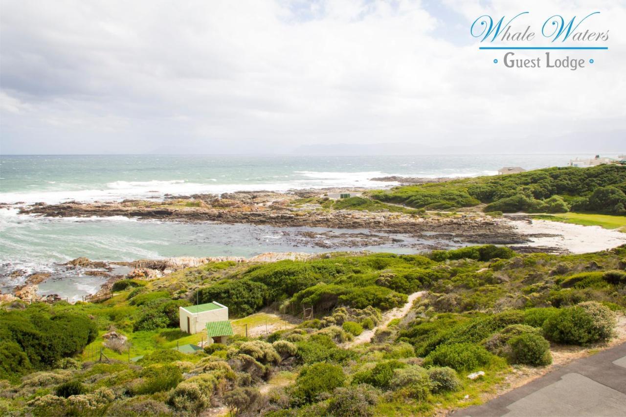 Apartament Whale Waters Self Catering Gansbaai De Kelders Zewnętrze zdjęcie